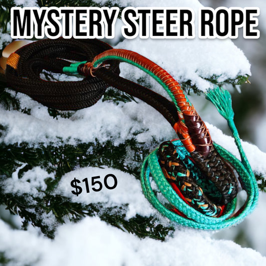 Mystery Steer Rope
