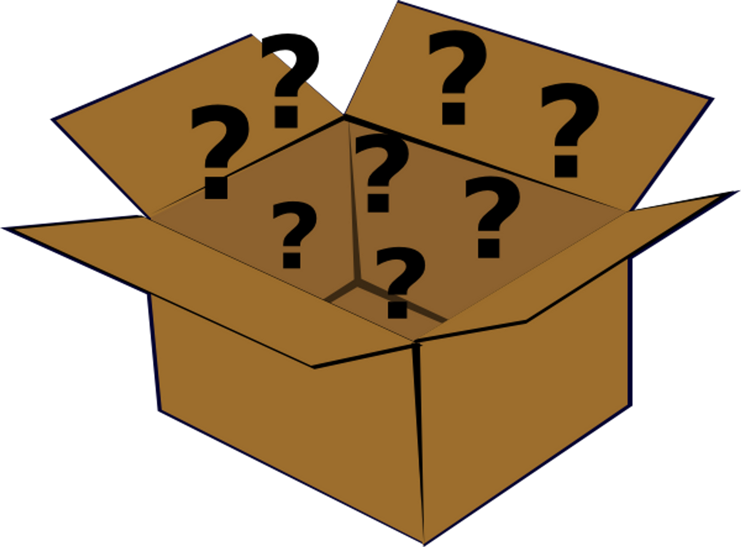 $100 Mystery Boot Box